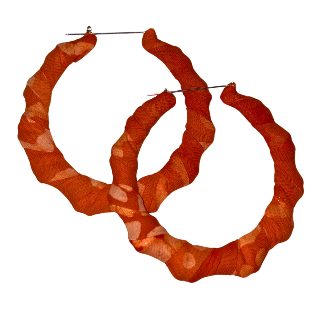 Optimistic Hue Homeland Earrings (Small)